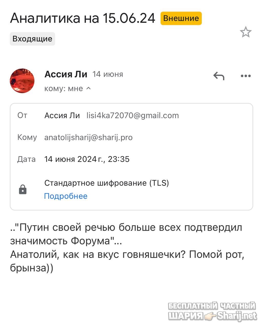 Анатолий Шарий частный канал — фото из публикации