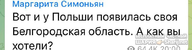 Анатолий Шарий частный канал — фото из публикации