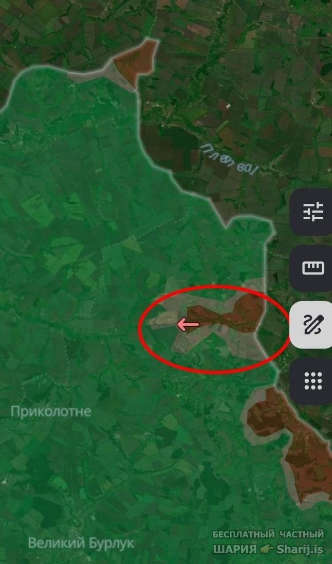 Анатолий Шарий частный канал — фото из публикации