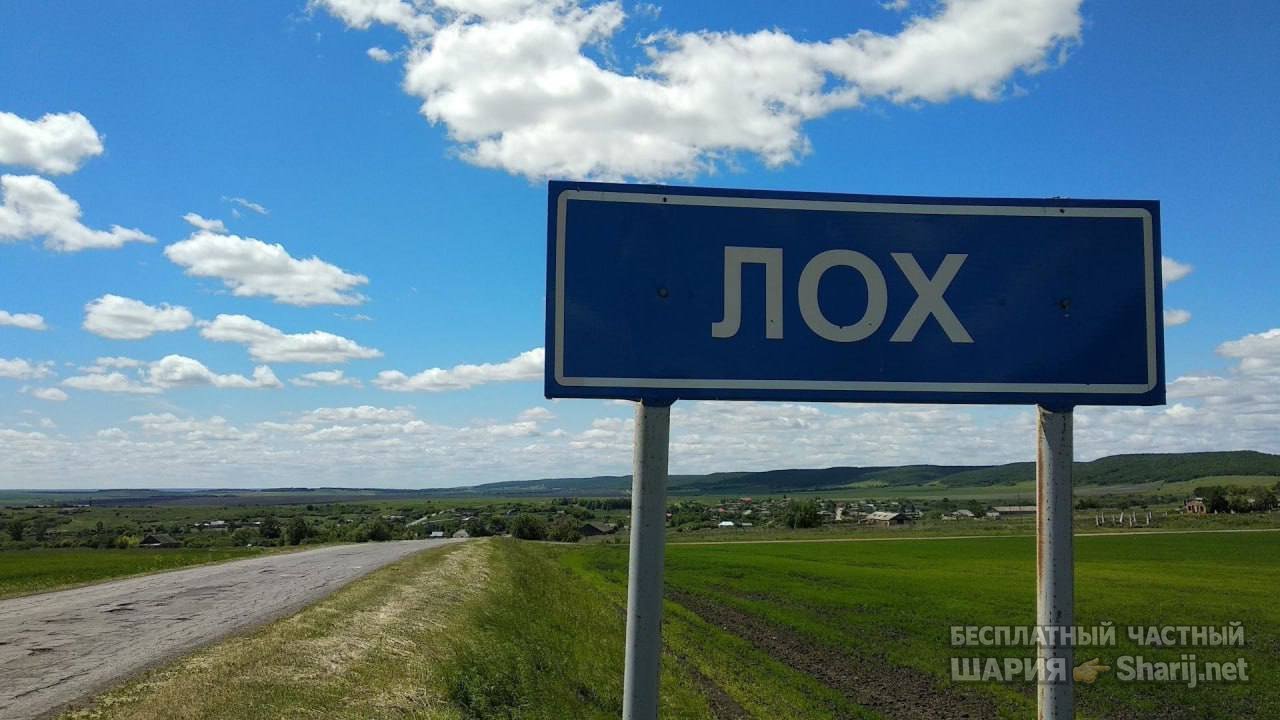 Анатолий Шарий частный канал — фото из публикации
