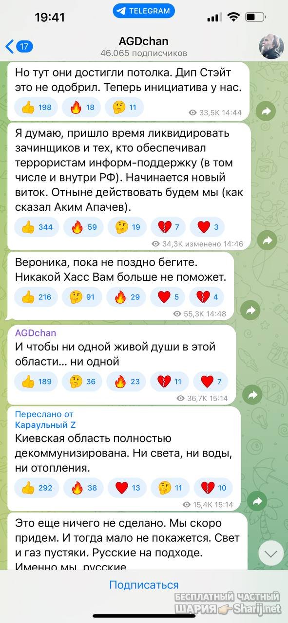 Анатолий Шарий частный канал — фото из публикации