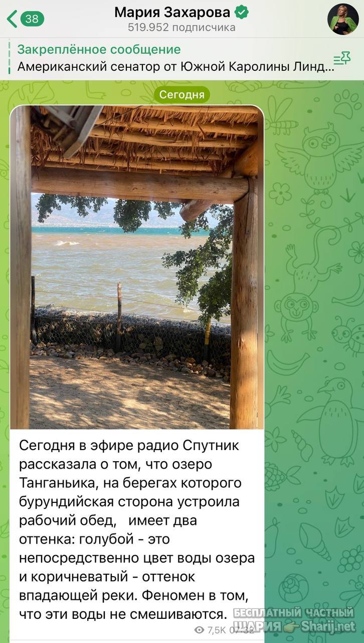 Анатолий Шарий частный канал — фото из публикации