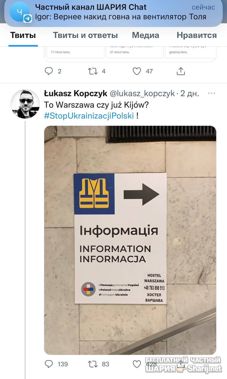 Анатолий Шарий частный канал — фото из публикации