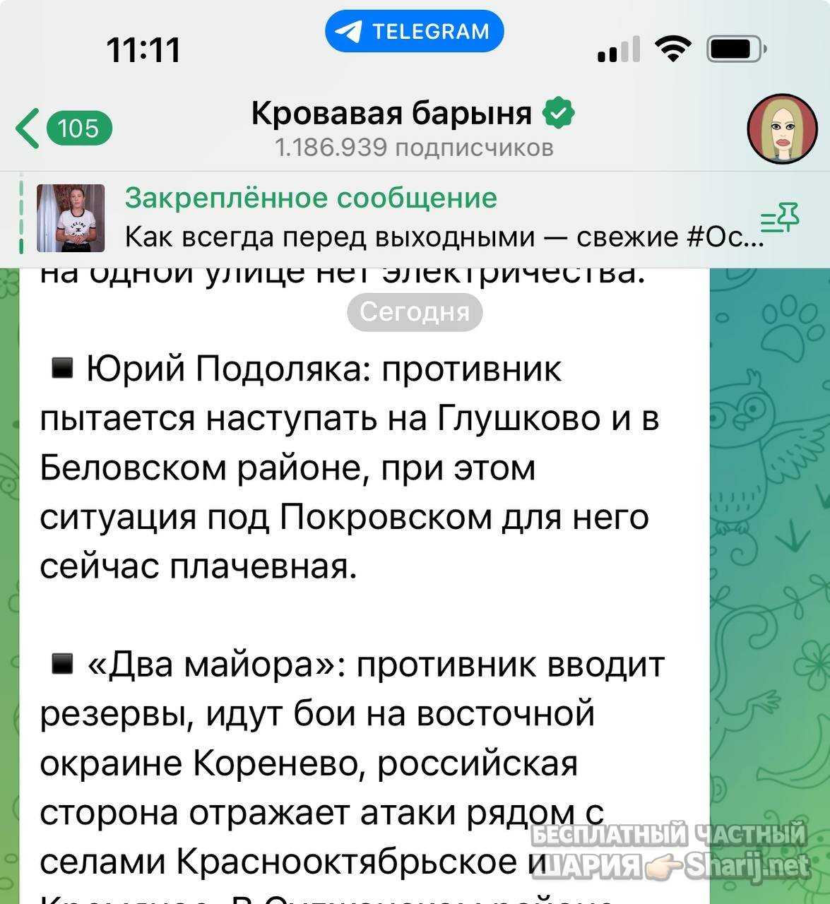 Анатолий Шарий частный канал — фото из публикации