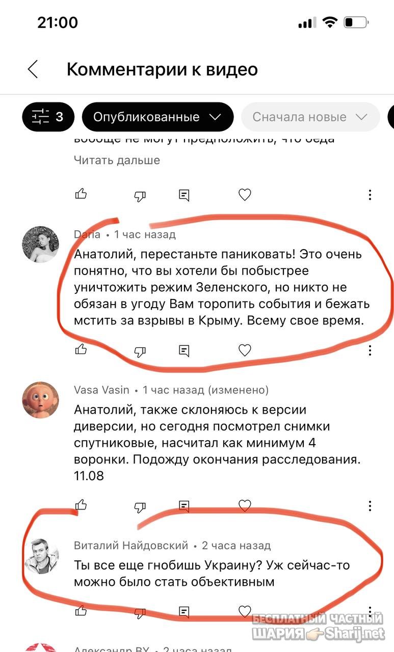 Анатолий Шарий частный канал — фото из публикации