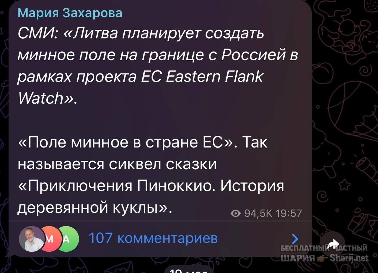 Анатолий Шарий частный канал — фото из публикации