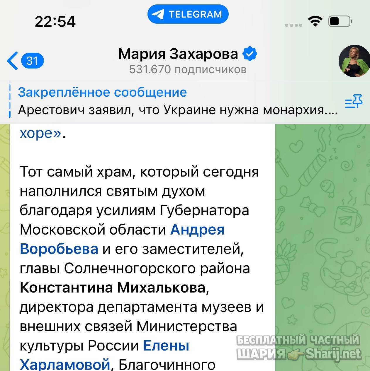 Анатолий Шарий частный канал — фото из публикации