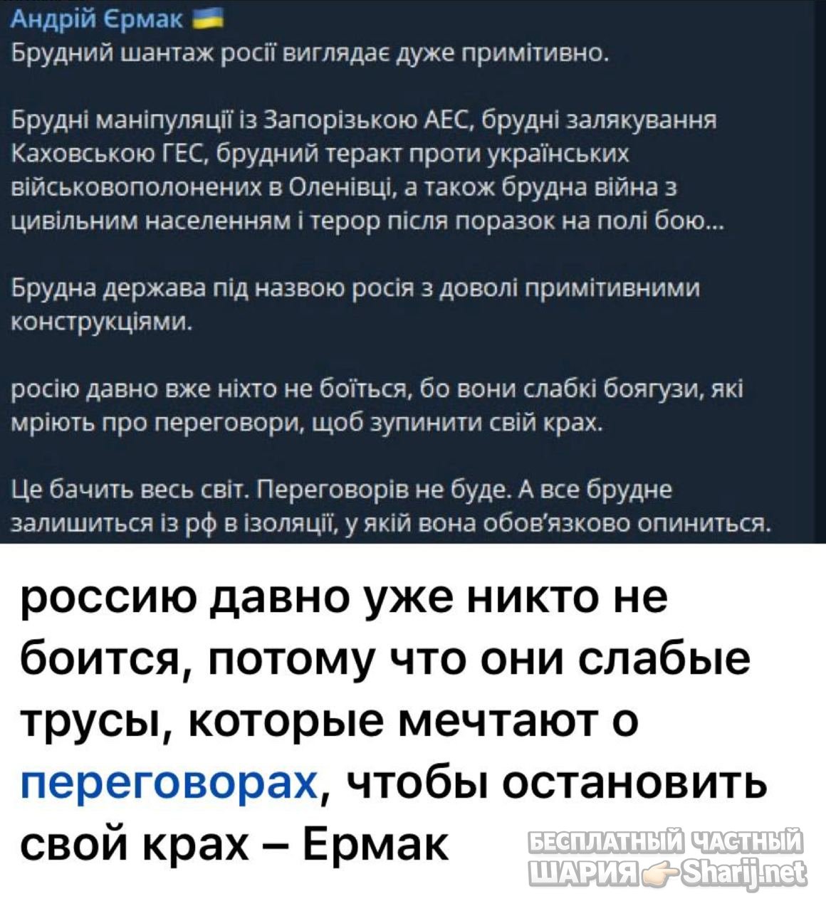 Анатолий Шарий частный канал — фото из публикации