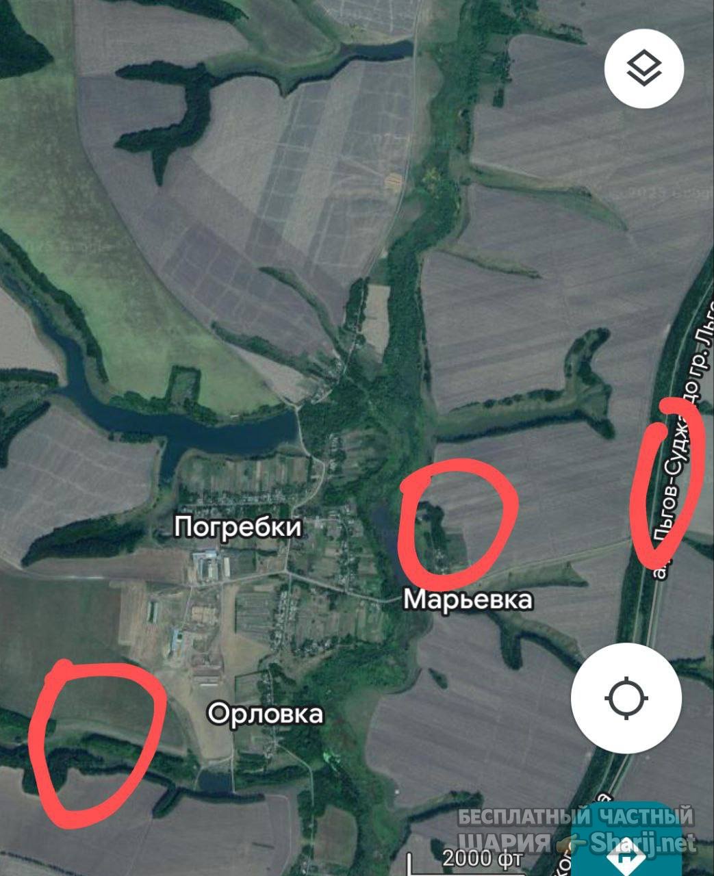 Анатолий Шарий частный канал — фото из публикации