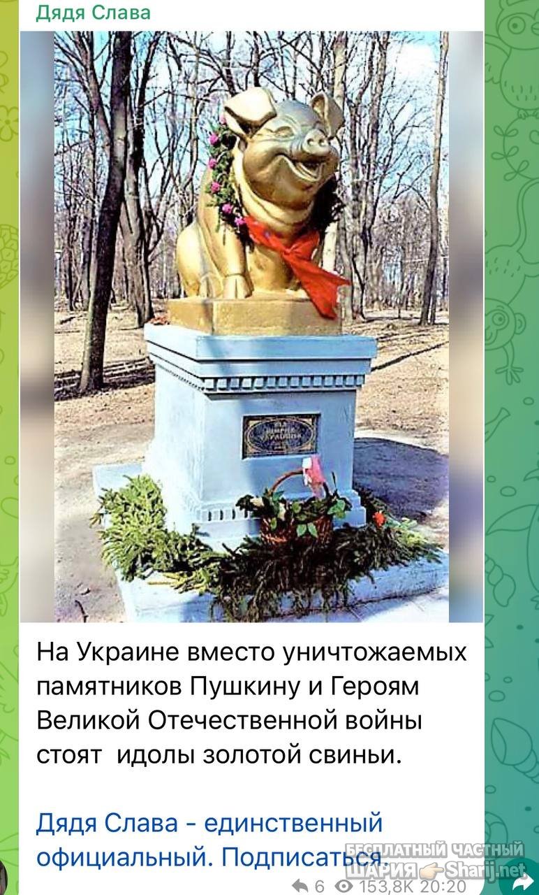 Анатолий Шарий частный канал — фото из публикации