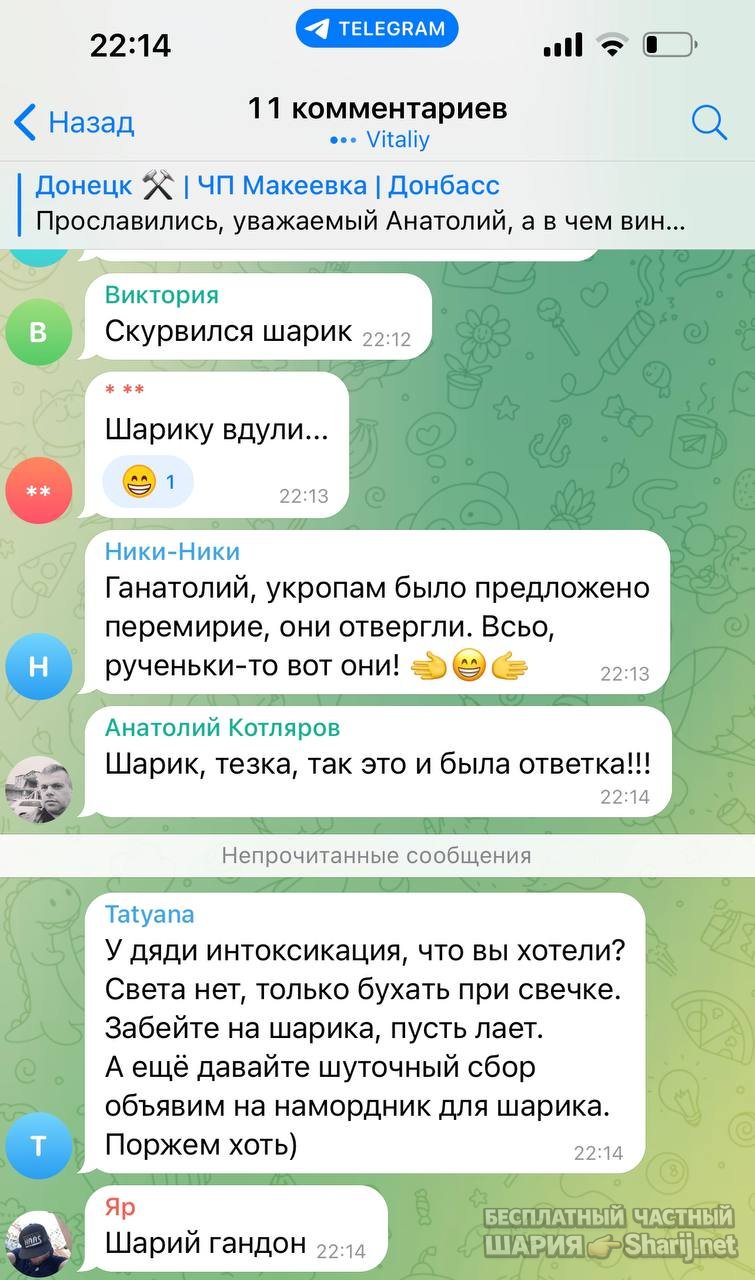 Анатолий Шарий частный канал — фото из публикации