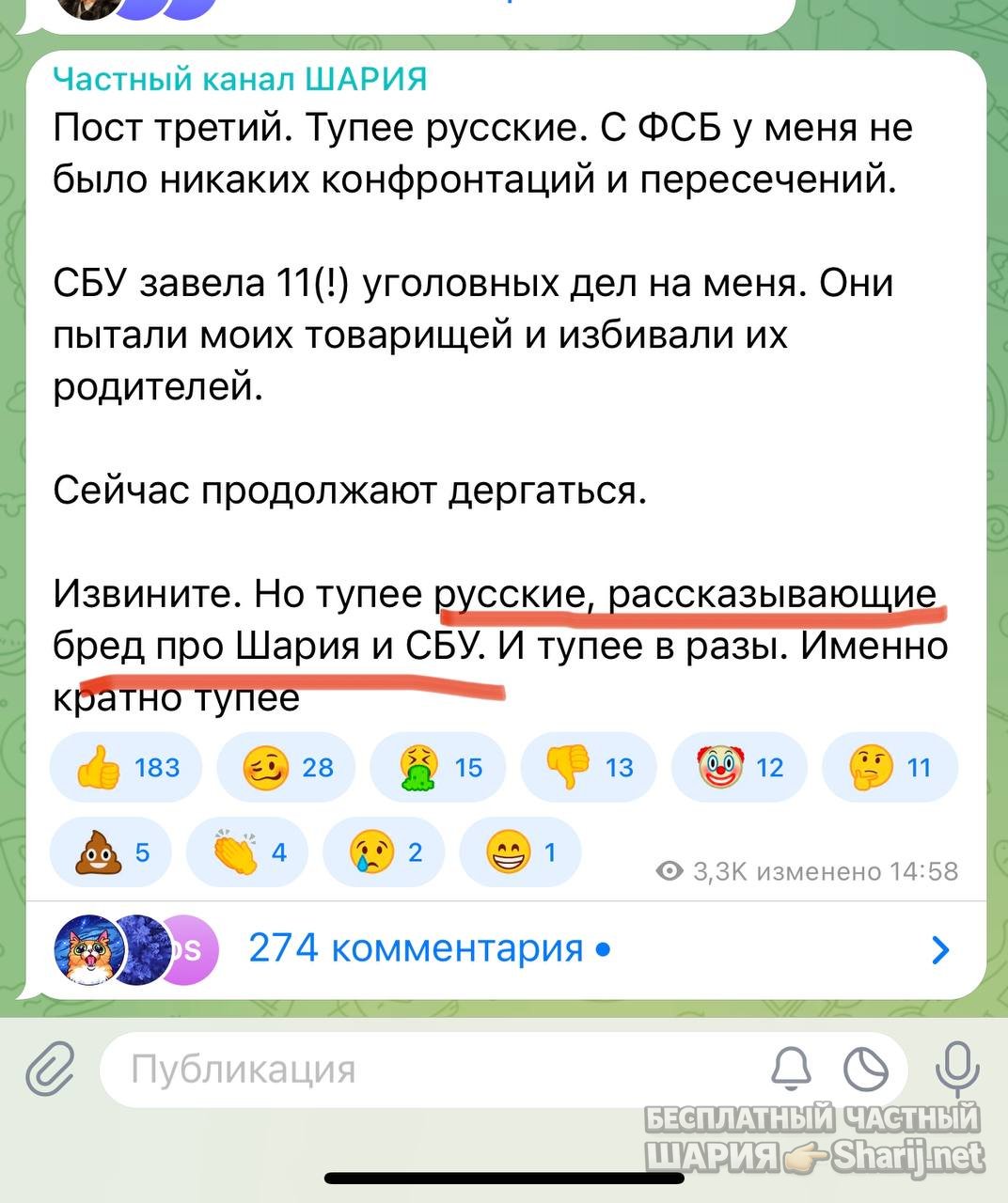 Анатолий Шарий частный канал — фото из публикации