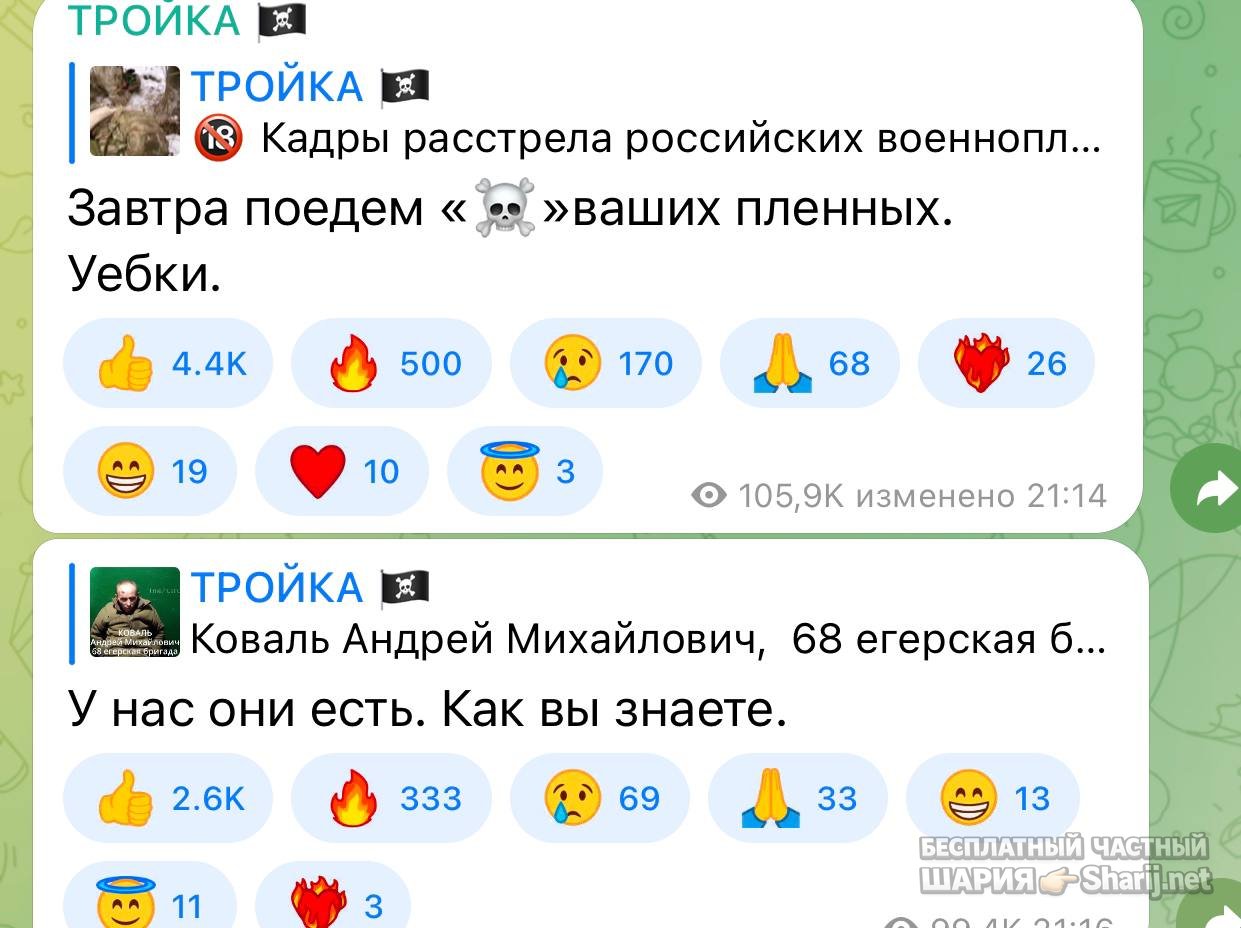 Анатолий Шарий частный канал — фото из публикации