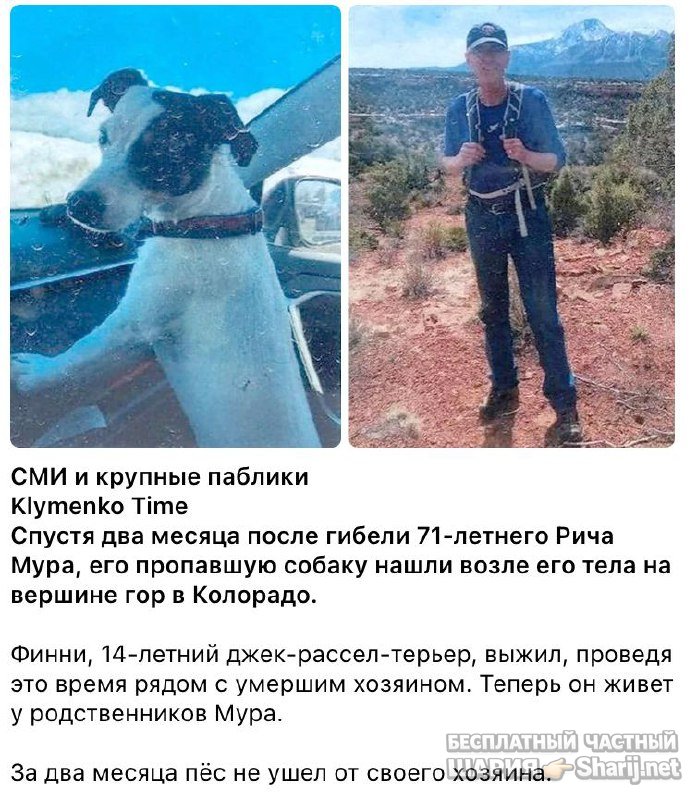 Анатолий Шарий частный канал — фото из публикации