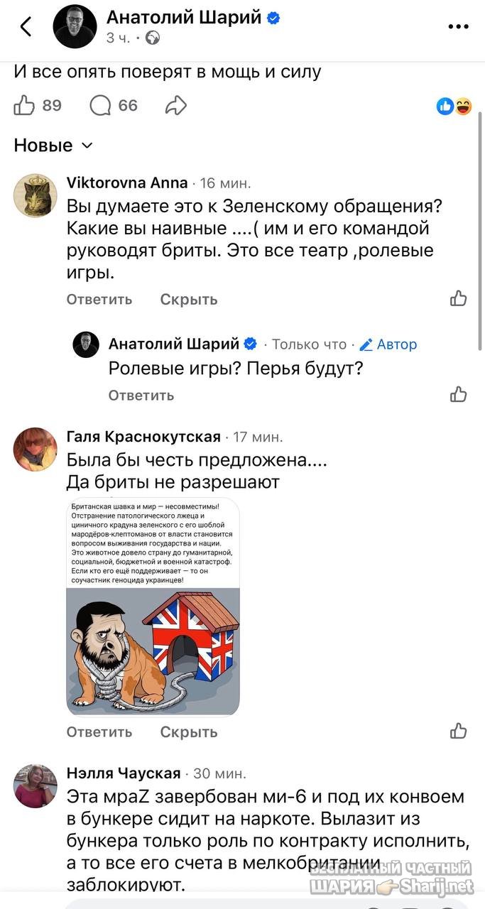 Анатолий Шарий частный канал — фото из публикации
