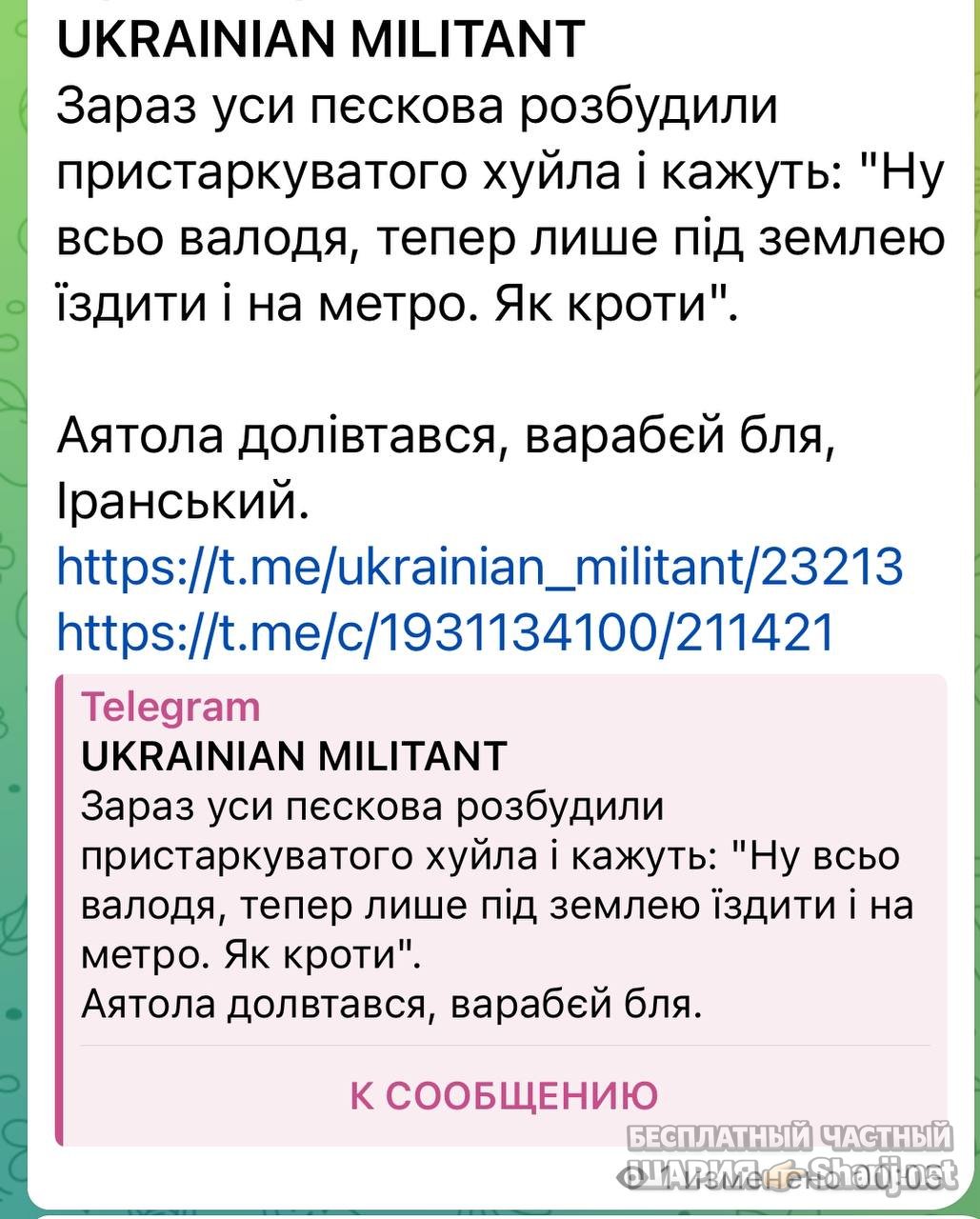 Анатолий Шарий частный канал — фото из публикации
