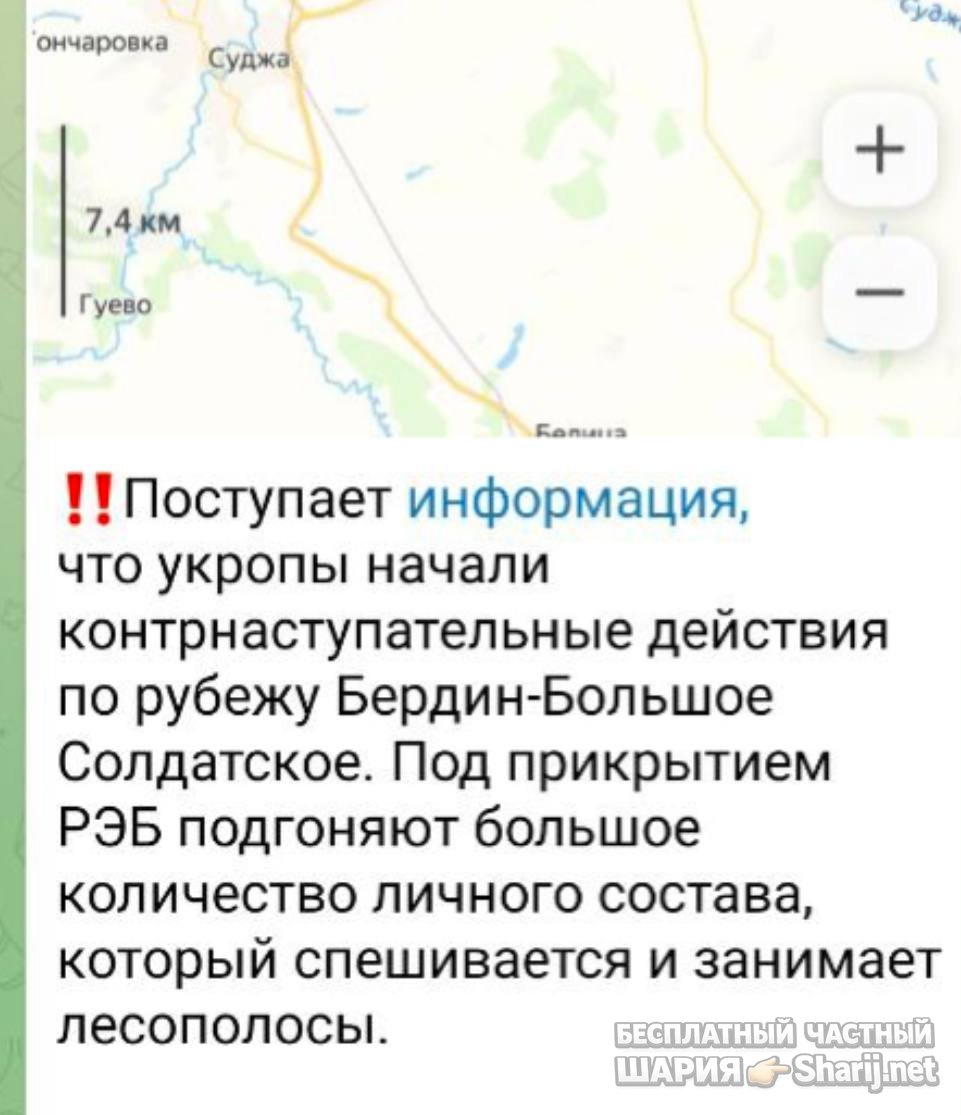 Анатолий Шарий частный канал — фото из публикации
