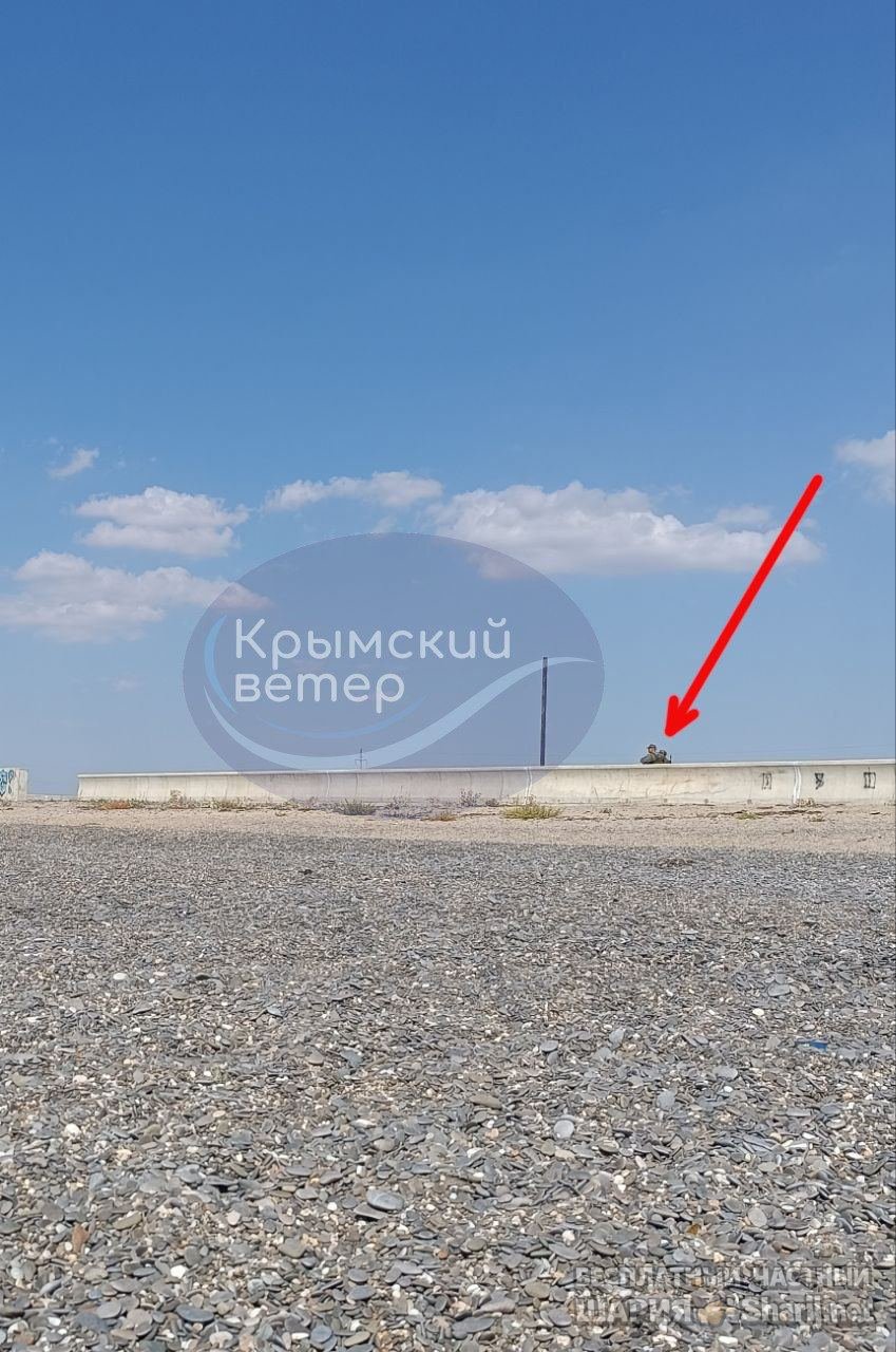 Анатолий Шарий частный канал — фото из публикации