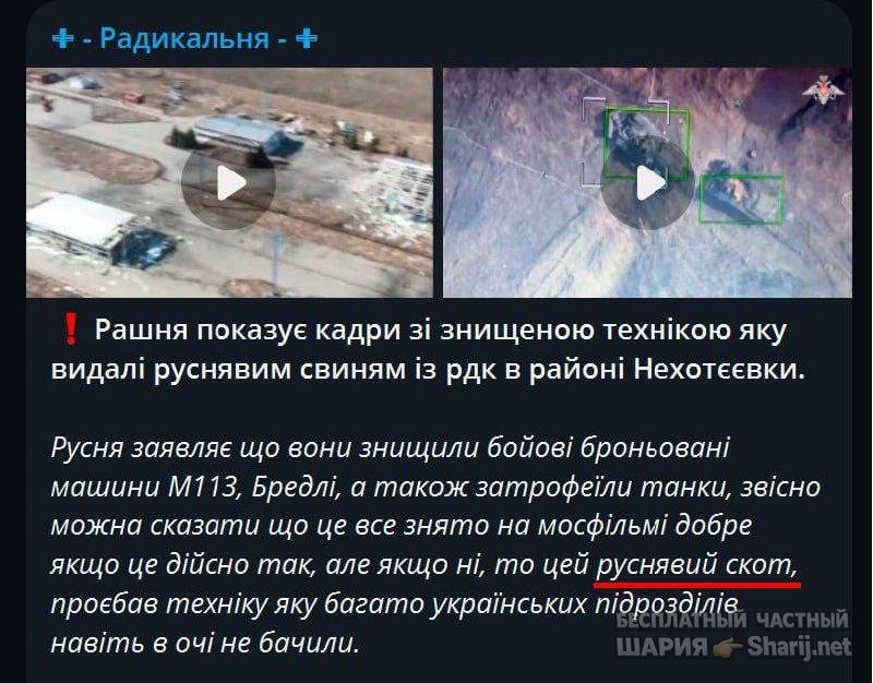 Анатолий Шарий частный канал — фото из публикации