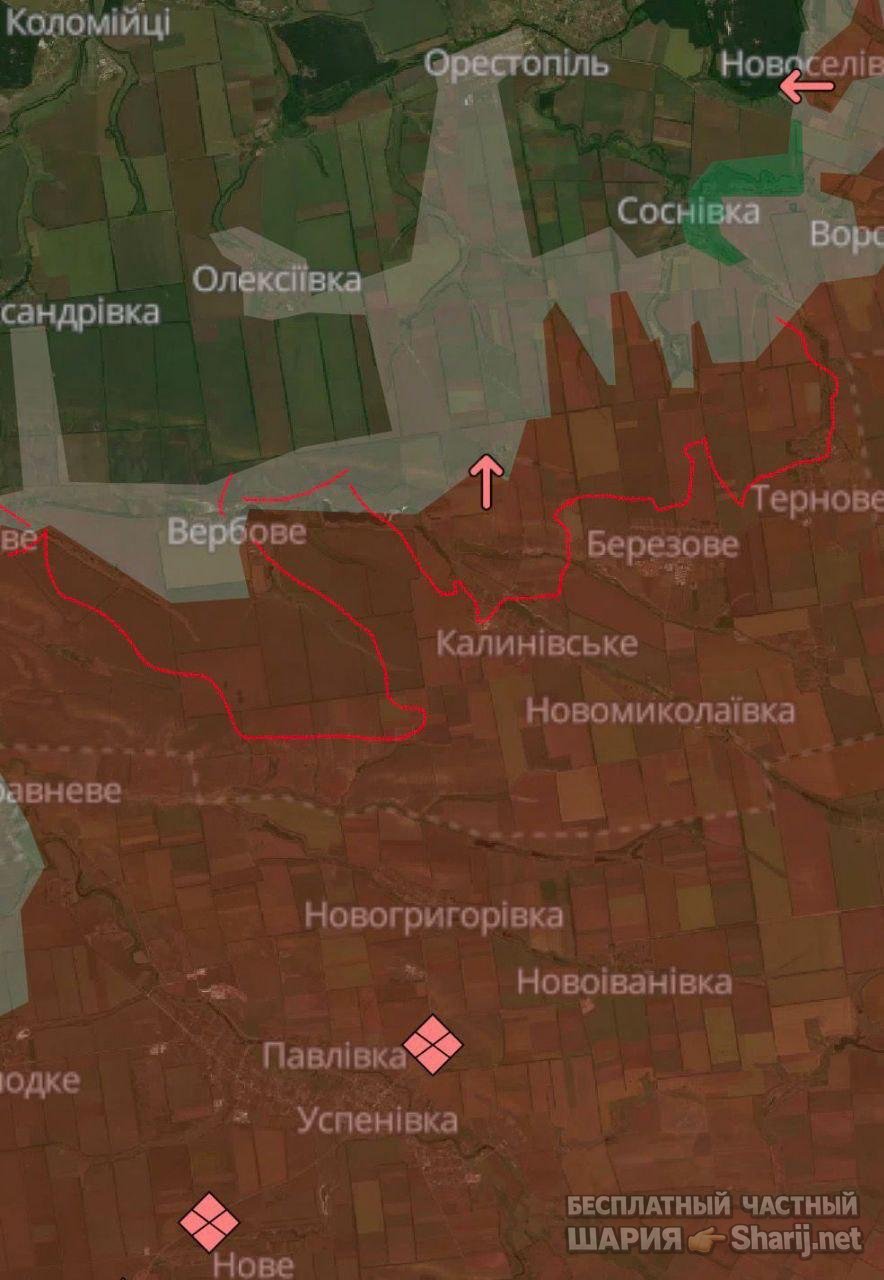 Анатолий Шарий частный канал — фото из публикации