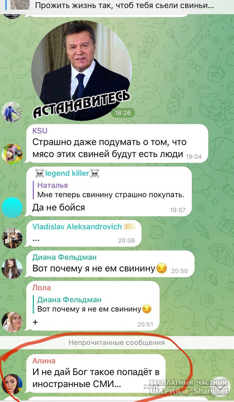 Анатолий Шарий частный канал — фото из публикации