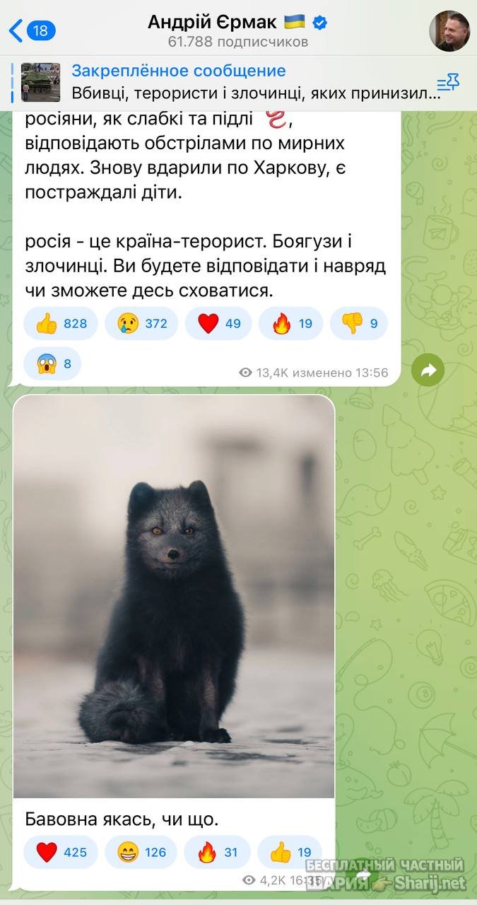 Анатолий Шарий частный канал — фото из публикации