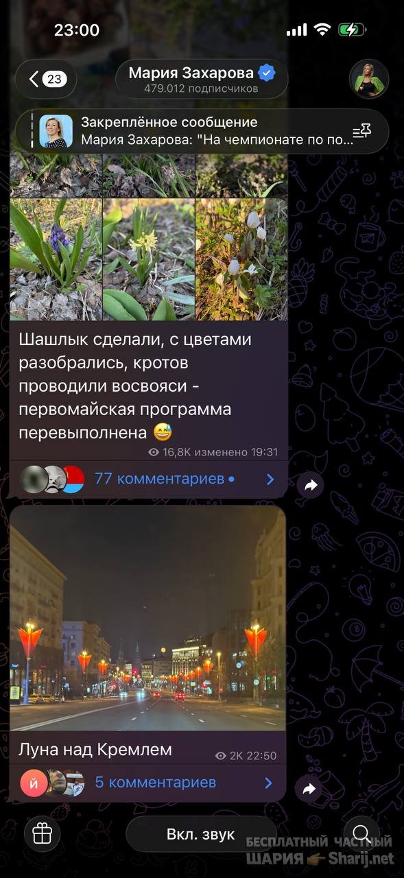 Анатолий Шарий частный канал — фото из публикации