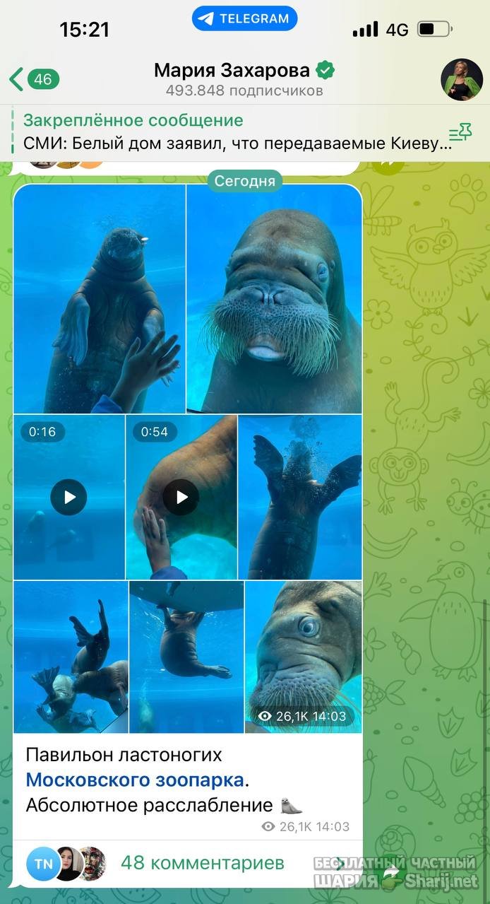 Анатолий Шарий частный канал — фото из публикации