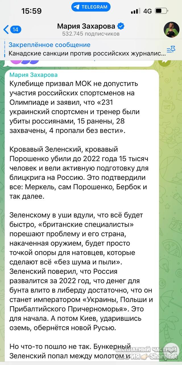 Анатолий Шарий частный канал — фото из публикации