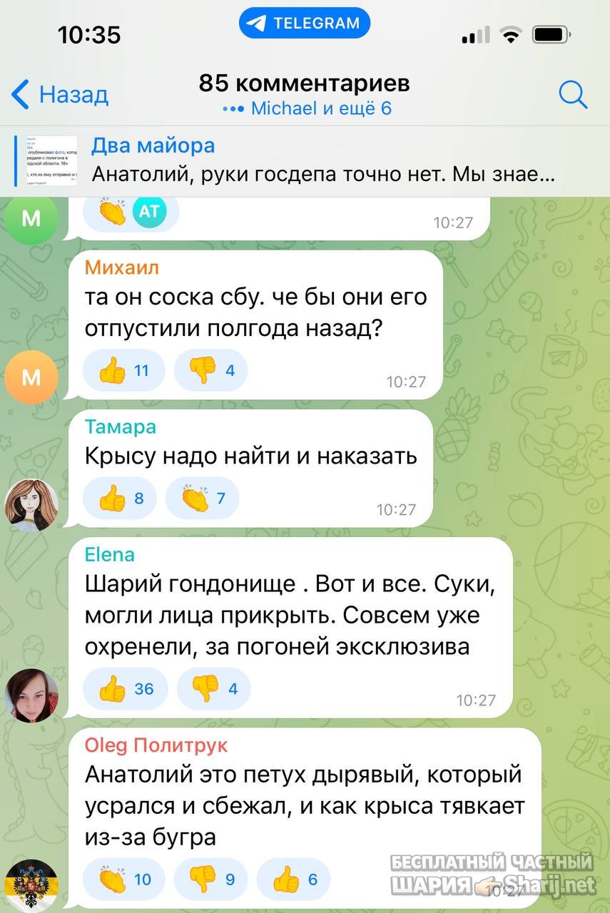 Анатолий Шарий частный канал — фото из публикации