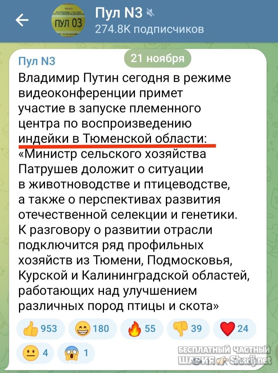 Анатолий Шарий частный канал — фото из публикации