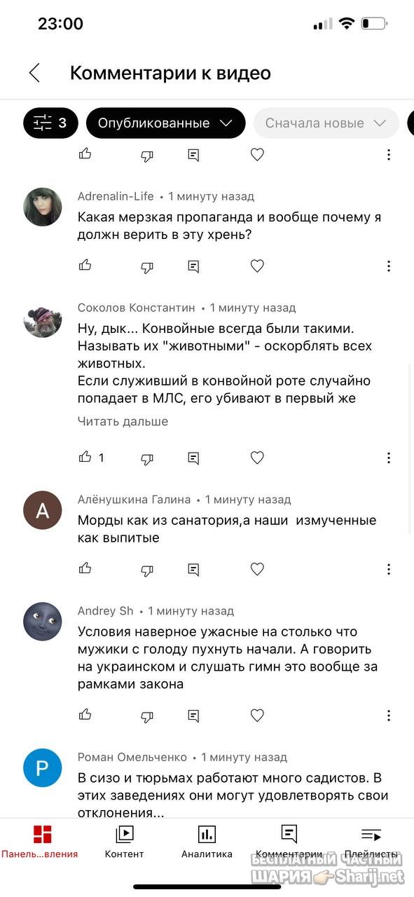 Анатолий Шарий частный канал — фото из публикации