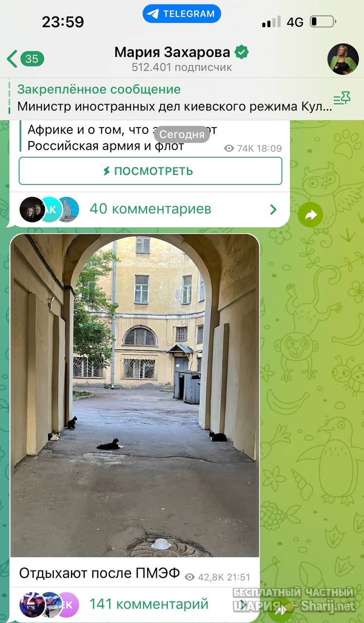 Анатолий Шарий частный канал — фото из публикации
