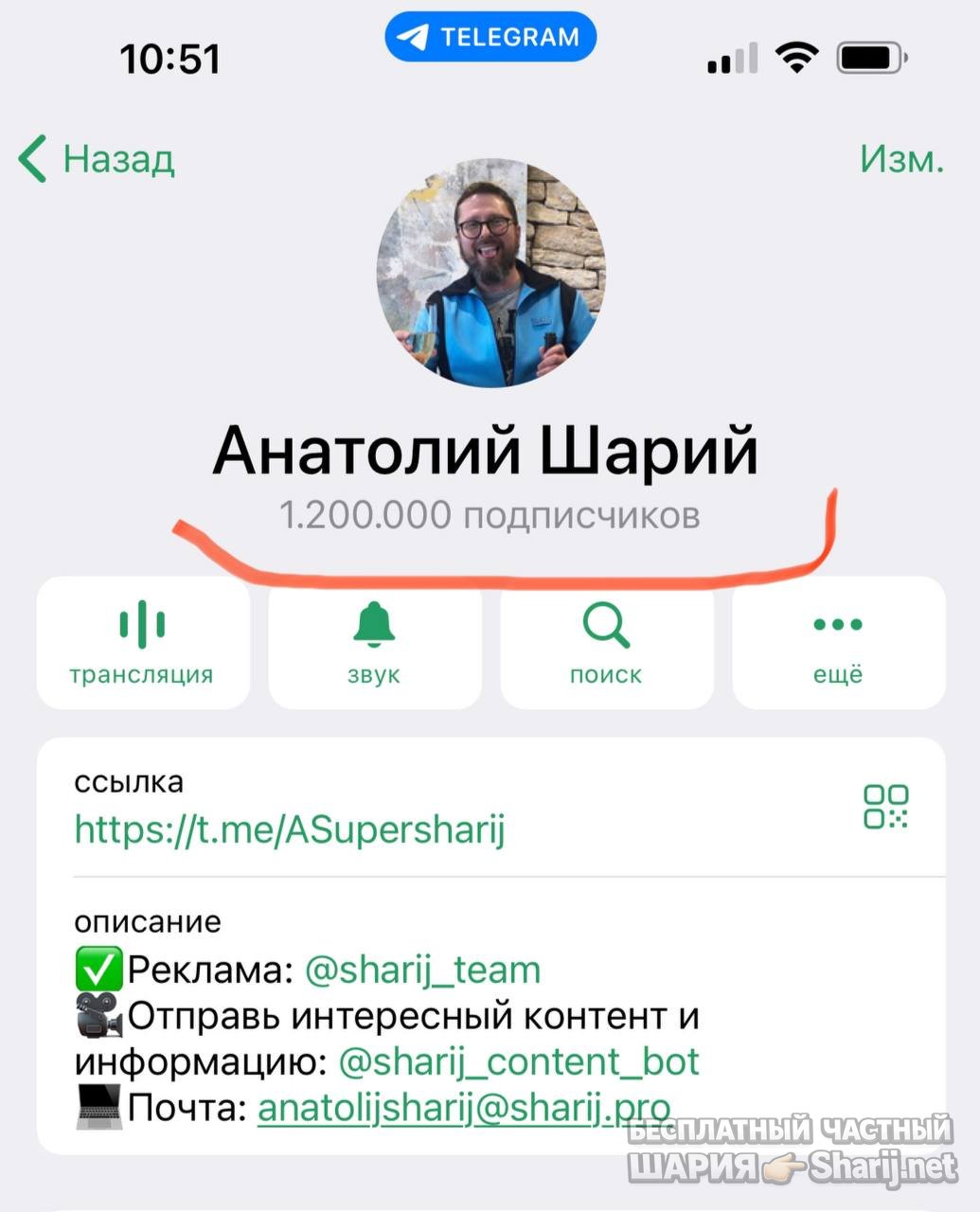 Анатолий Шарий частный канал — фото из публикации