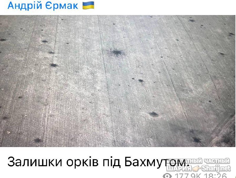 Анатолий Шарий частный канал — фото из публикации