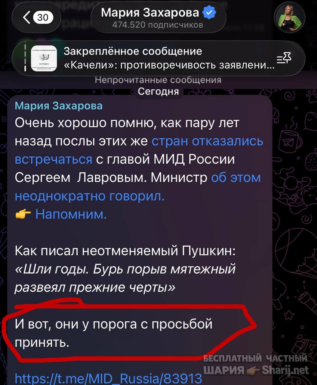 Анатолий Шарий частный канал — фото из публикации