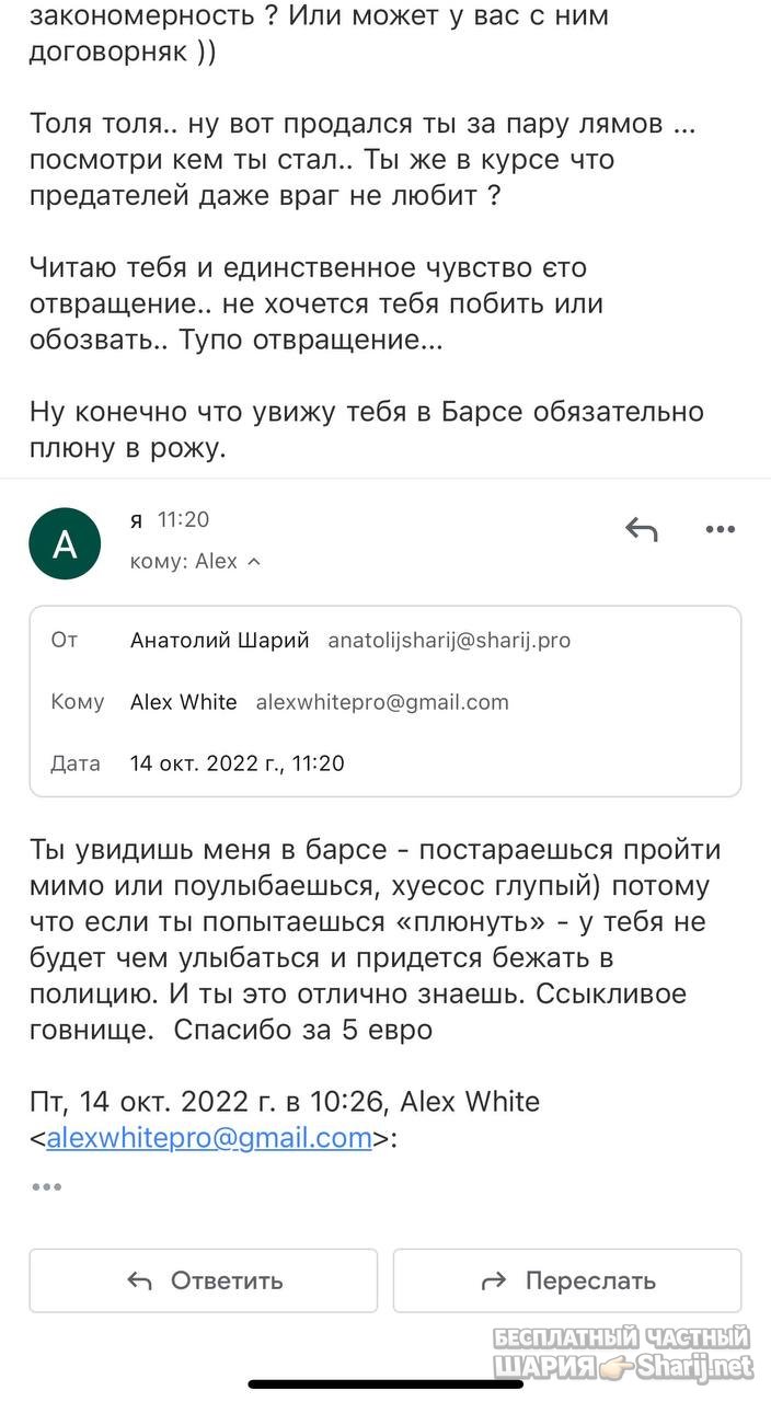 Анатолий Шарий частный канал — фото из публикации