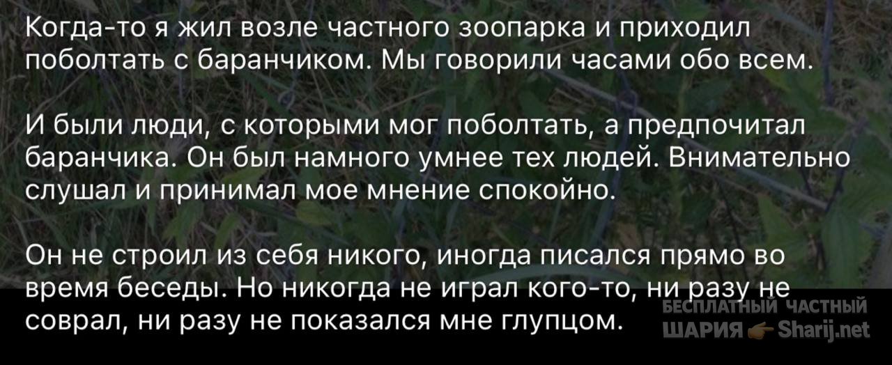 Анатолий Шарий частный канал — фото из публикации