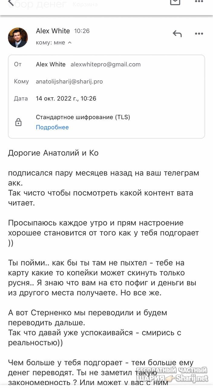 Анатолий Шарий частный канал — фото из публикации