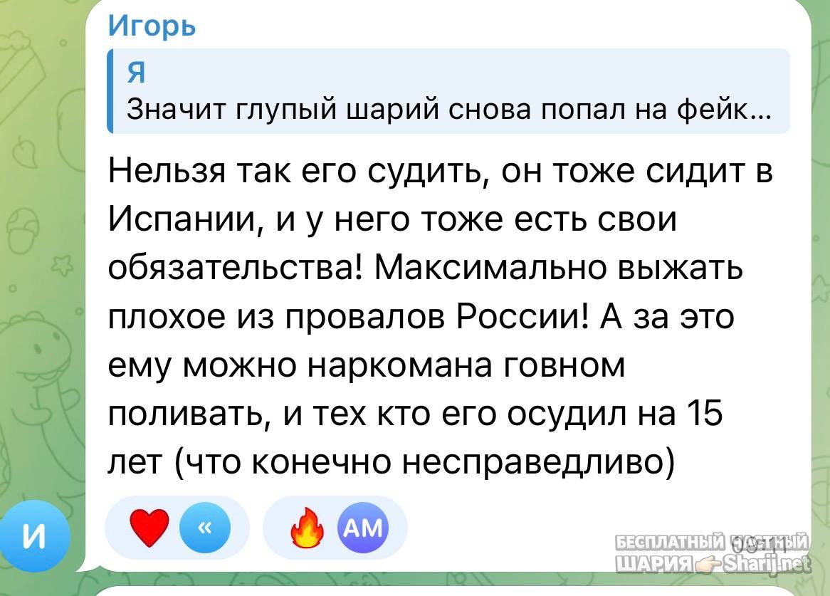 Анатолий Шарий частный канал — фото из публикации