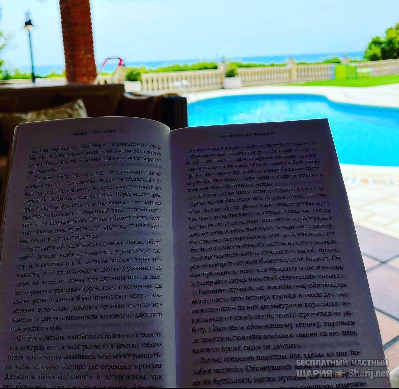 Анатолий Шарий частный канал — фото из публикации
