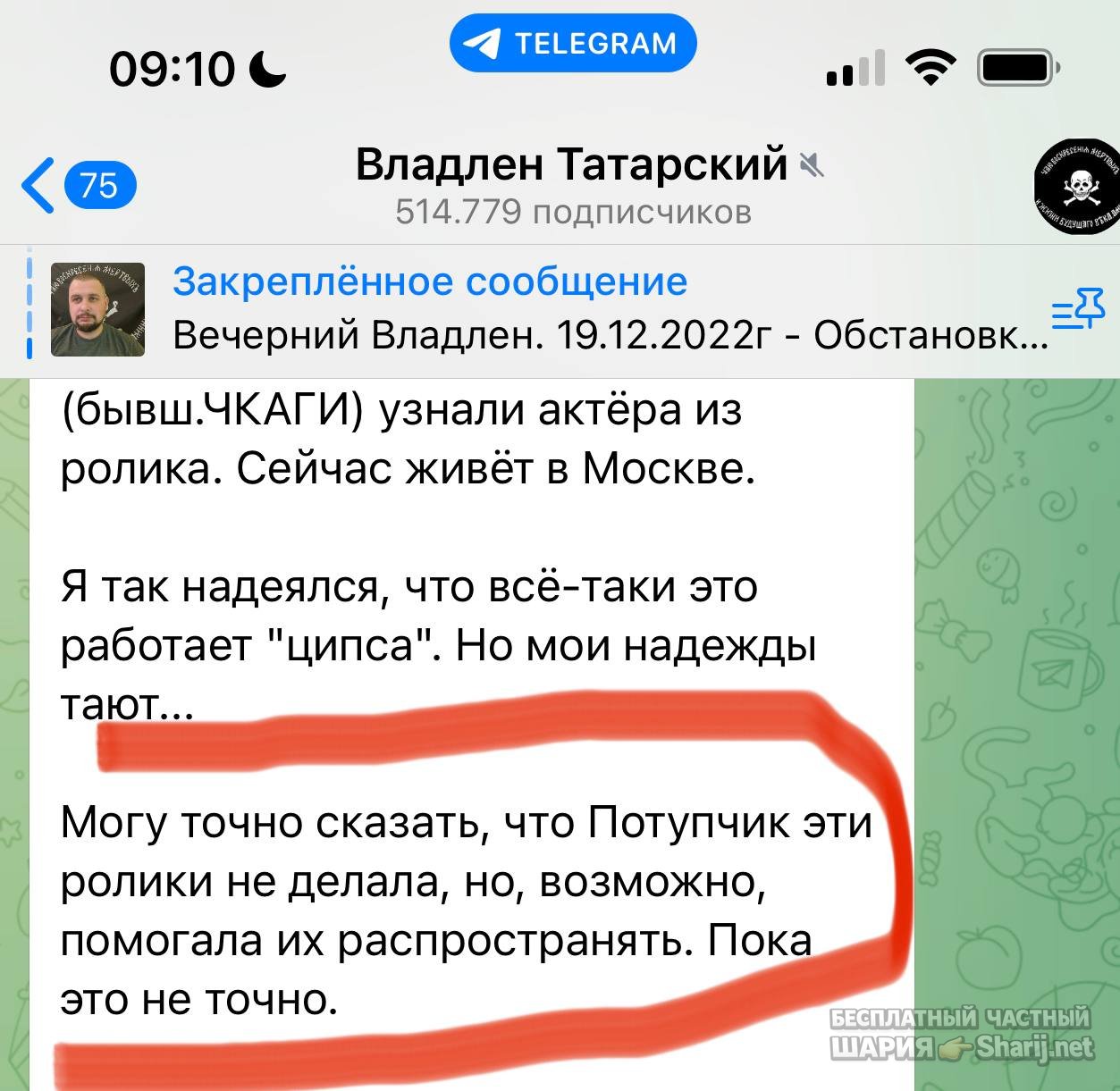 Анатолий Шарий частный канал — фото из публикации