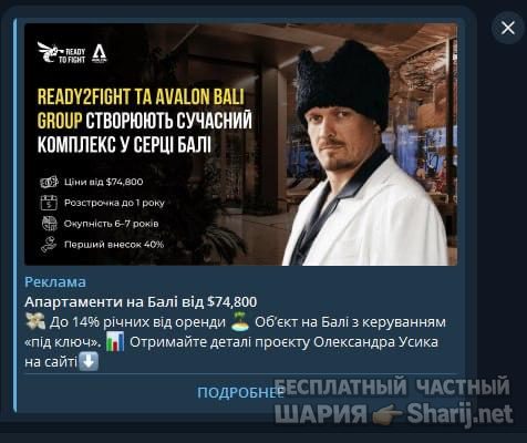 Анатолий Шарий частный канал — фото из публикации