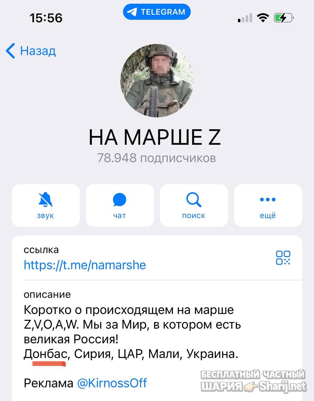 Анатолий Шарий частный канал — фото из публикации