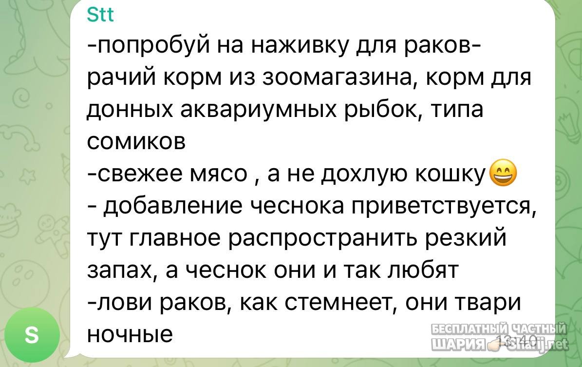 Анатолий Шарий частный канал — фото из публикации