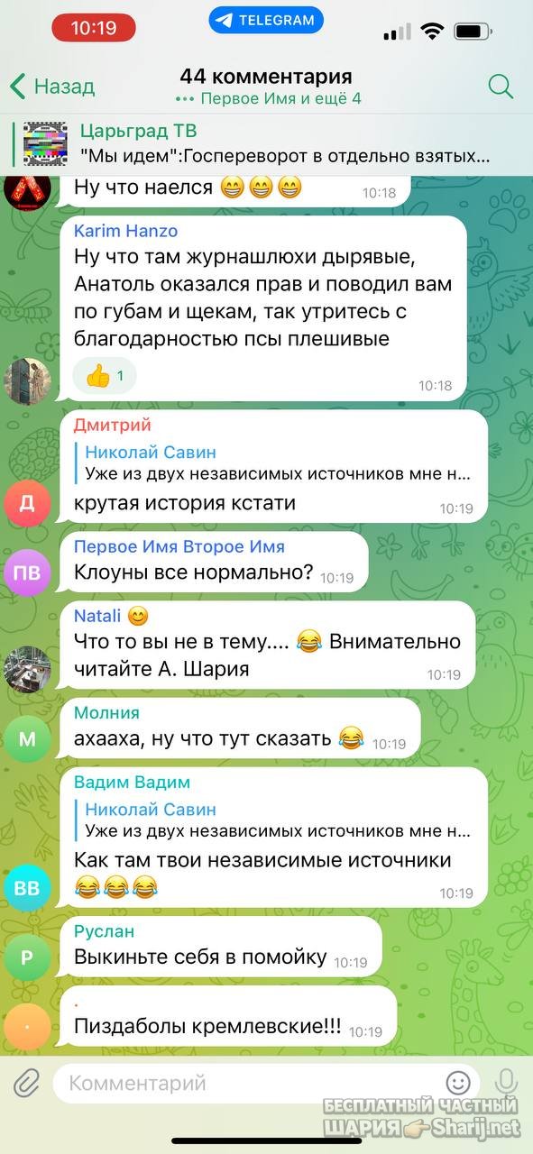 Анатолий Шарий частный канал — фото из публикации