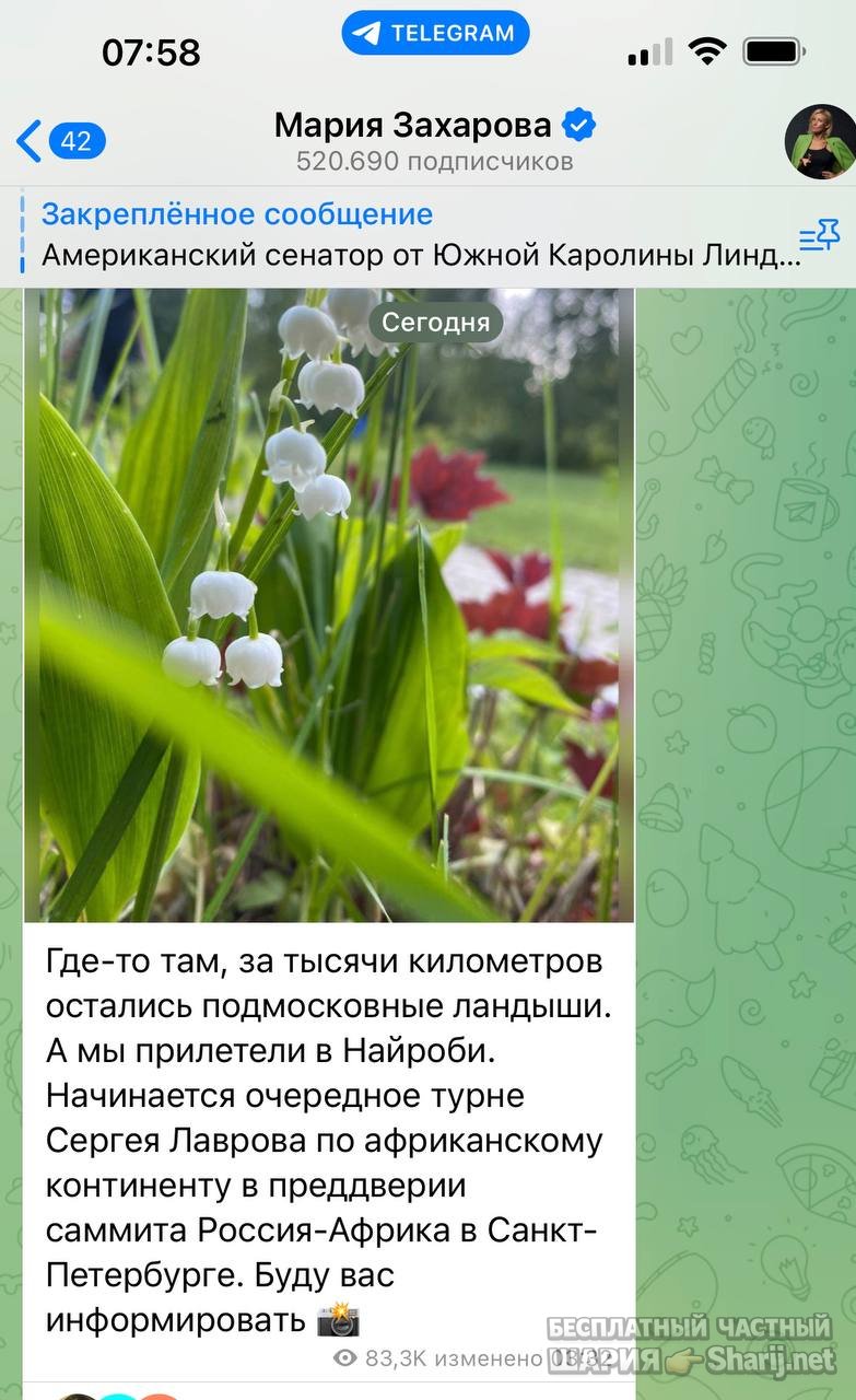 Анатолий Шарий частный канал — фото из публикации