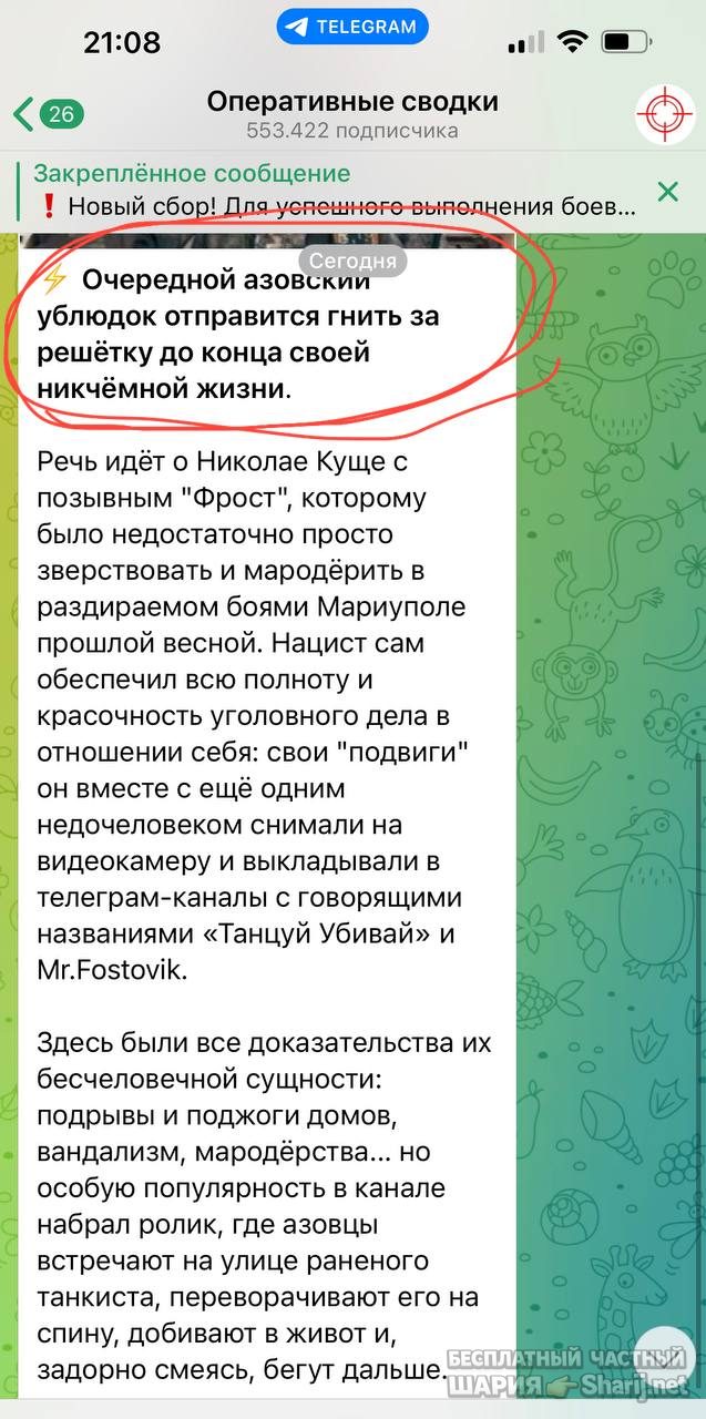 Анатолий Шарий Telegram канал — фото из публикации