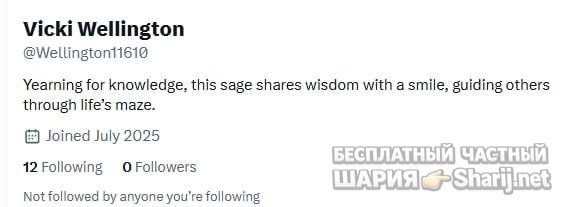 Анатолий Шарий Telegram канал — фото из публикации