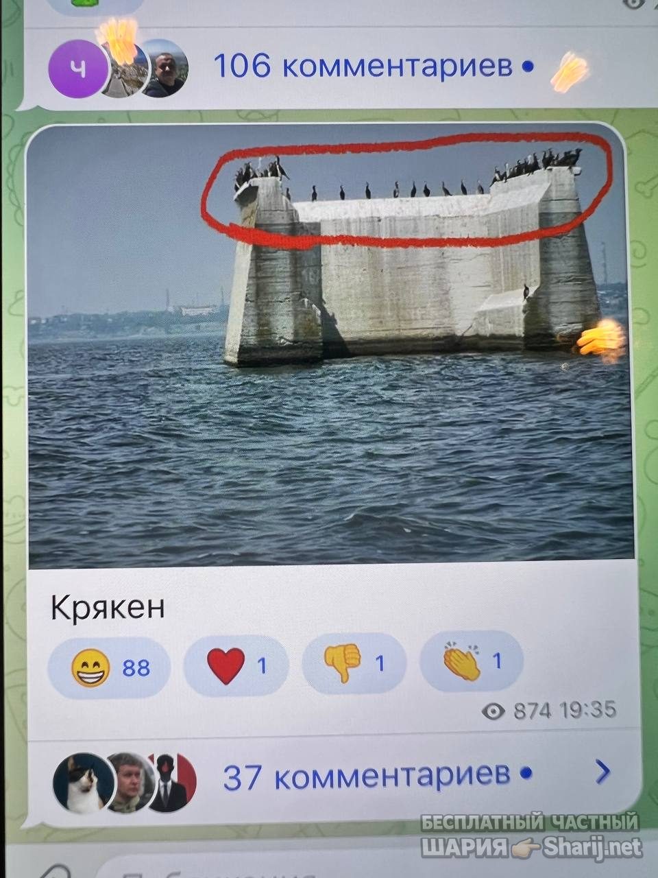 Анатолий Шарий Telegram канал — фото из публикации